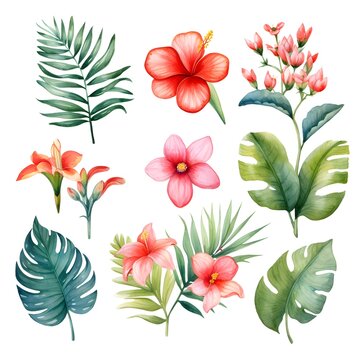 tropical flowers and leaves, summer set, large hand drawn watercolor set © Pixfinity Studio