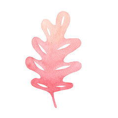 Fototapeta premium Red oak leaf sign watercolor for decoration on Autumn seasonal and nature concept.