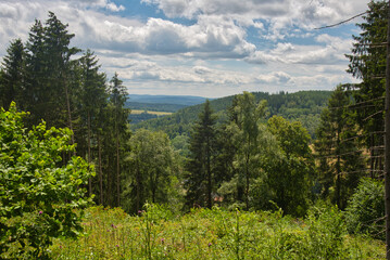 In den Höhen von Rotterode im Thüringer Wald
