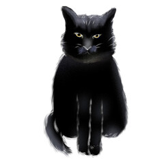 Black Cat on Halloween
