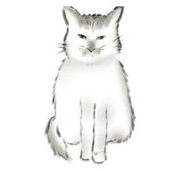 White Cat on Halloween