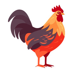 Cute rooster standing, crowing loudly