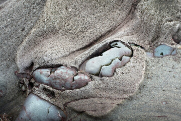 Fototapeta na wymiar Detail of rocks on the shore of Cowie - Stonehaven - Aberdeenshire - Grampian - Scotland - UK