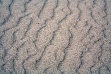 Detailed view of the texture and pattern of a sand dune - Newburgh - Aberdeenshire - Scotland - UK