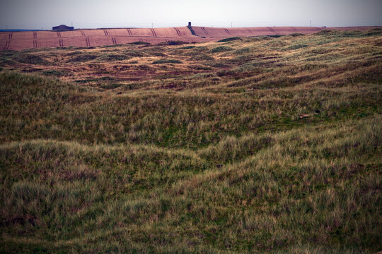 Ythan estuary - Newburgh - Aberdeenshire - Scotland - UK