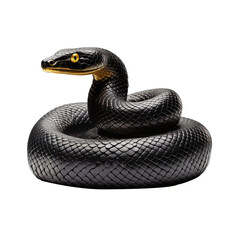 Fototapeta premium snake looking isolated on white