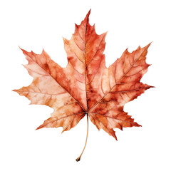 Watercolor Fall Autumn Maple Leaf Clipart isolated on Transparent Background.