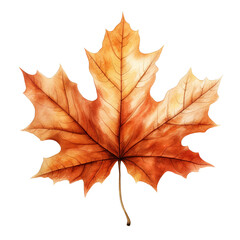 Obraz premium Watercolor Maple Leaf Clipart.