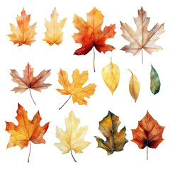 Watercolor Autumn Leaf Clipart Set on Transparent Background