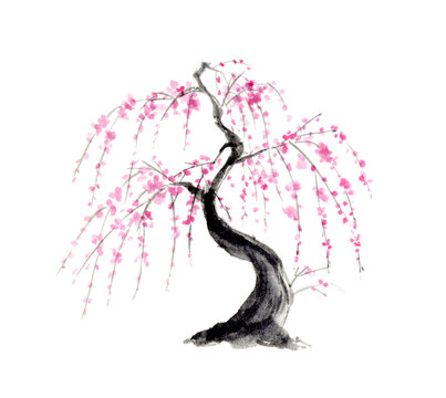 しだれ梅の木の水墨画　墨彩画