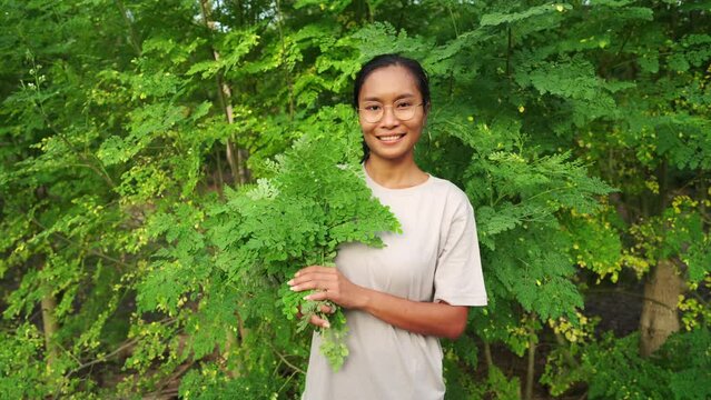 Portrait of moringa farmer with harvested leaves on plantation, sustainable