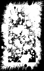 Abstract background. Monochrome texture. The image includes the effect of black and white tones