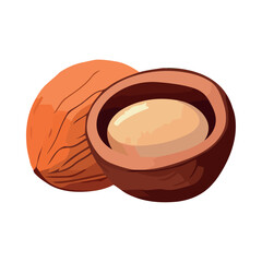Fresh organic nut, a healthy snack