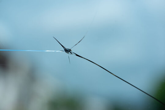 Cracked windshield from the stone thrown.