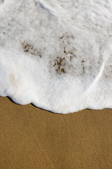 Sumérgete en la cautivadora belleza de la espuma del mar que adorna la arena de la playa en estas imágenes.