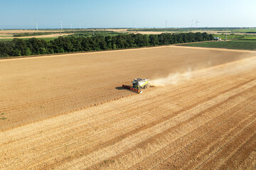 Combine harvester in action on wheat field. Drone shoot!