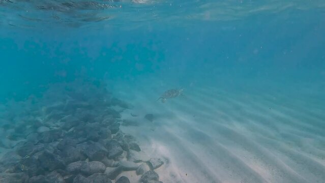 Lagon de Mayotte, &Icirc;lot Mtsamboro