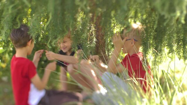 Children were playing under a green tree. Funny children stuttering while sitting on the grass. Soft selective focus