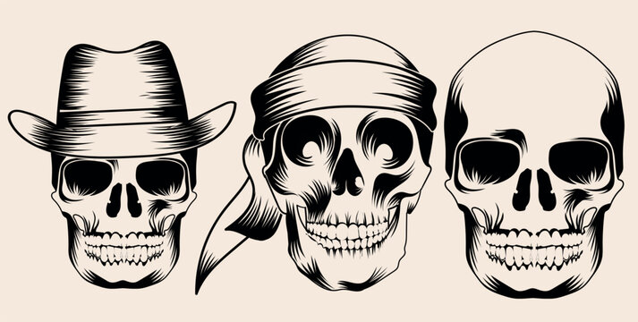 Skull hand drawn vector design and art work 