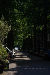 A picture clicked in Amsterdam