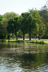 A picture clicked in Amsterdam