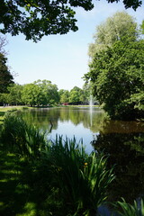 A picture clicked in Amsterdam