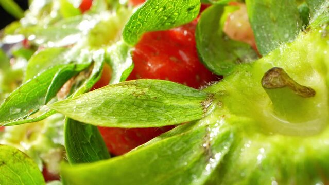 The probe lens delves into the world of the strawberry, you can observe the fine texture of its skin. The surface is covered in tiny bumps and pits, giving it a rough and uneven appearance. 4K HDR
