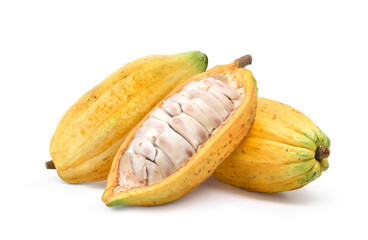 Fresh yellow cocoa pods with cut in half isolated on white background. Clipping path.