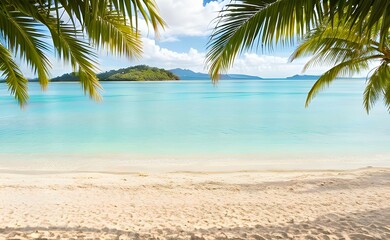 Obraz na płótnie Canvas 椰子の葉の間から見えるビーチ