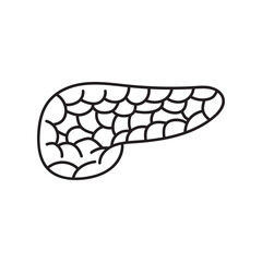 Hand drawn Kids drawing Cartoon Vector illustration pancreas icon Isolated on White Background