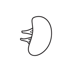 Hand drawn Kids drawing Cartoon Vector illustration spleen icon Isolated on White Background