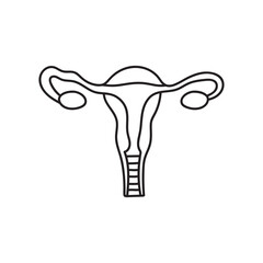 Hand drawn Kids drawing Cartoon Vector illustration female reproductive system icon Isolated on White Background