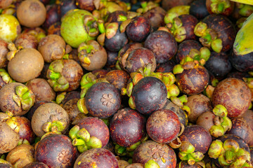 Fresh mangosteen from a indonesian market.Fresh mangosteen from a indonesian market.