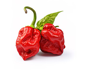 carolina reaper pepper