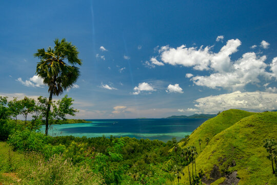Beautiful green scenery at the nature of Flores.