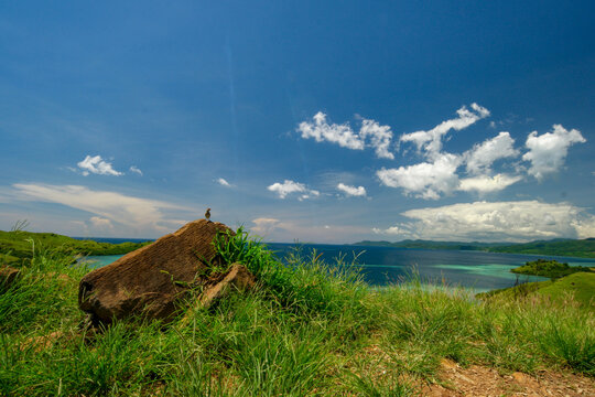 Beautiful green scenery at the nature of Flores.