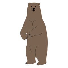 Grizzly Bear Single 1, vector illutration