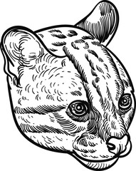 Vintage hand drawn sketch of ocelot cat head