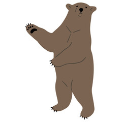 Grizzly Bear Single 21 PNG