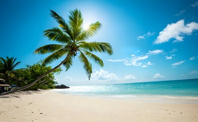 トロピカルビーチのヤシの木に太陽の陽の光が注ぎ、青い空青い海がとてもきれいです。