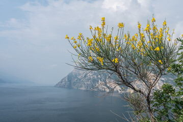 Gardasee, Riva del Garda