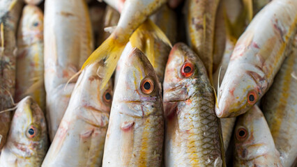 Close up of Freshly caught mullet on display for sale