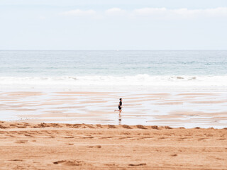 Fototapeta na wymiar boy runs with neoprene on the beach