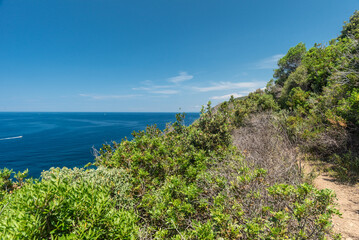 Felsküste bei Piombino, Toskana , bei Sonneschein