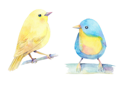 watercolor hand drawn cute blue and yellow birds isolated on white