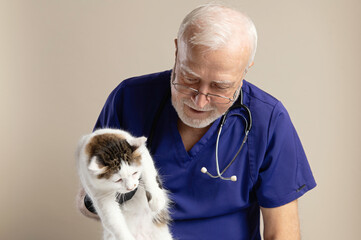 Elderly gray-haired veterinarian doctor in glasses and a stethoscope holds a white cat in his hands against a light wall background, horizontal format