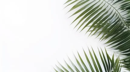 Fotobehang Summer minimal background top view wide under palm leaf, AI generated Image © musa