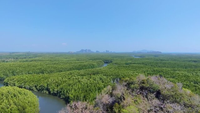 Landscape green nature of Ta Pe Canal with mangrove and lime stone mountain - unseen thailand from Horizon Views 360&deg;   ฺBan Nam Rap or Khao jom Pa in Trang Thailand - Travel outdoor adventure 