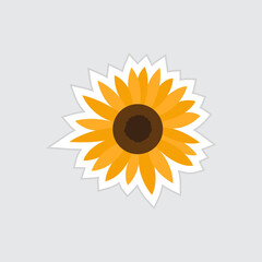 sunflower illustration