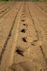 tractor tire tracks